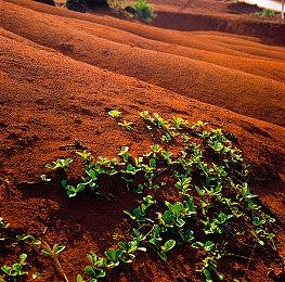 《战争机器人：前线》全新赛季「爆能风暴」登场 VOLTA蜘蛛泰坦震撼开战！