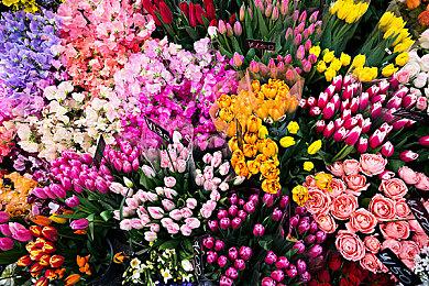 《糖豆人》万圣节活动上线 官方发布活动宣传片