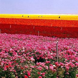 《奇唤士》PC版推迟至2024年2月20日发售